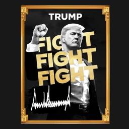 What will the price of Official Trump $TRUMP be at the end of January 2025?'s logo