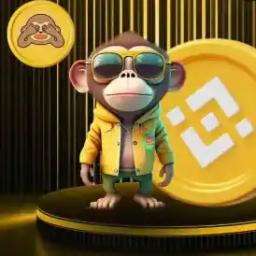 Will $MONKY be listed on Binance for Spot Trading by 20th January 2025?'s logo