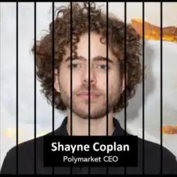 Will Shayne Coplan, CEO at Polymarket, be arrested in 2025?'s logo